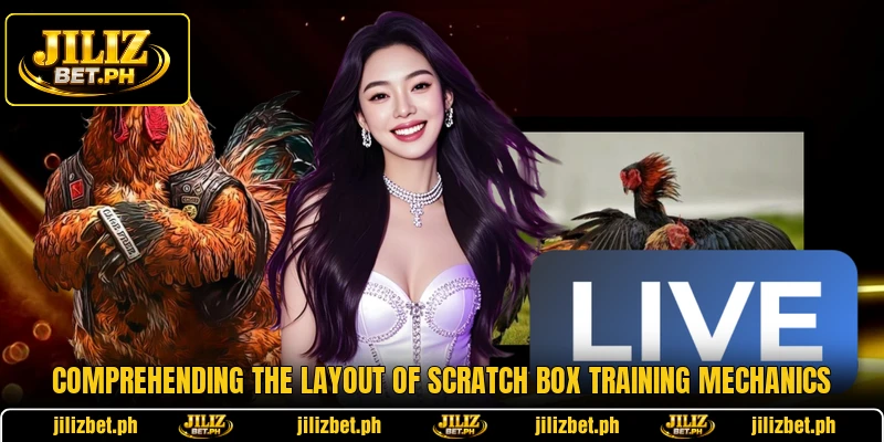 Comprehending the layout of Scratch Box Training mechanics