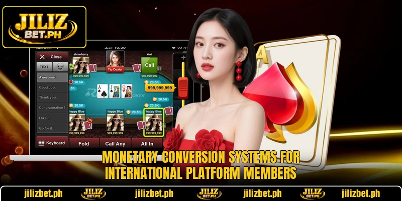 Monetary conversion systems for international platform members