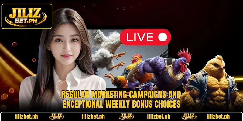 Regular marketing campaigns and exceptional weekly bonus choices