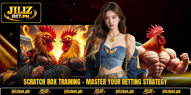 Scratch Box Training - Master Your Betting Strategy