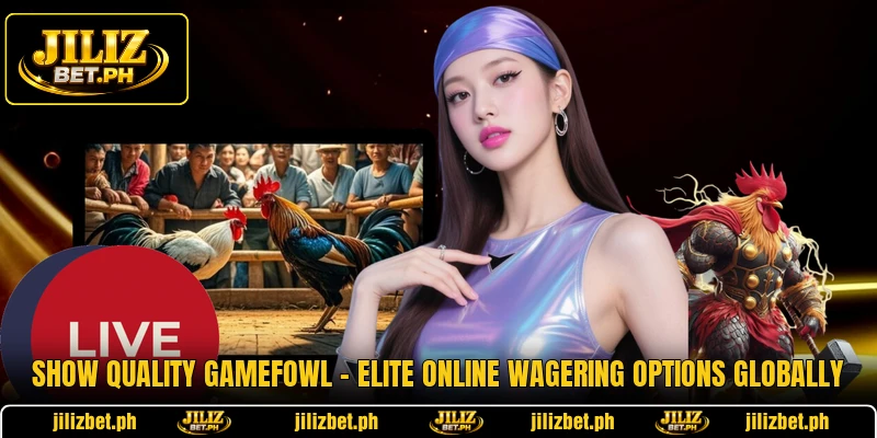 Show Quality Gamefowl - Elite Online Wagering Options Globally